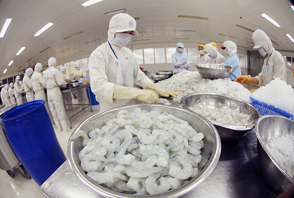 Nhiều dư địa xuất khẩu thủy sản sang EU trong những tháng cuối năm>
                                  </a></p>
                                  
                                  <p>
                                      <a href=