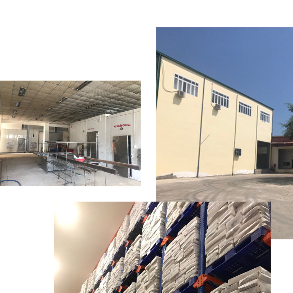 Tại sao chọn chúng tôi?