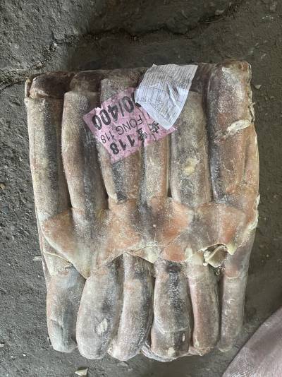 mực ống Đài Loan đóng bao, sz 300-400g