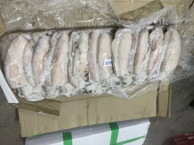 mực mai ấn độ sz 1-2kg/con, thùng 10kg